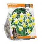 Baltus Narcissus Trumpet Topolino bloembollen per 10 stuks